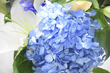 Hydrangea Blue Vase Arrangement